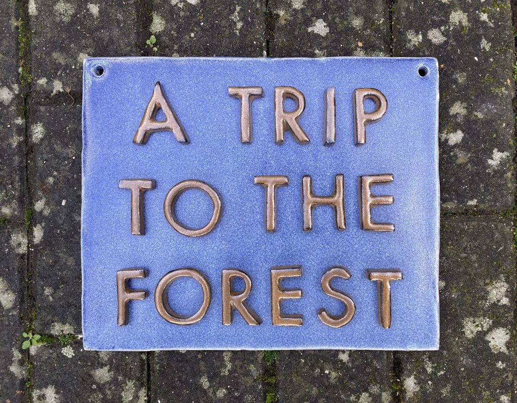 A Trip to The Forest